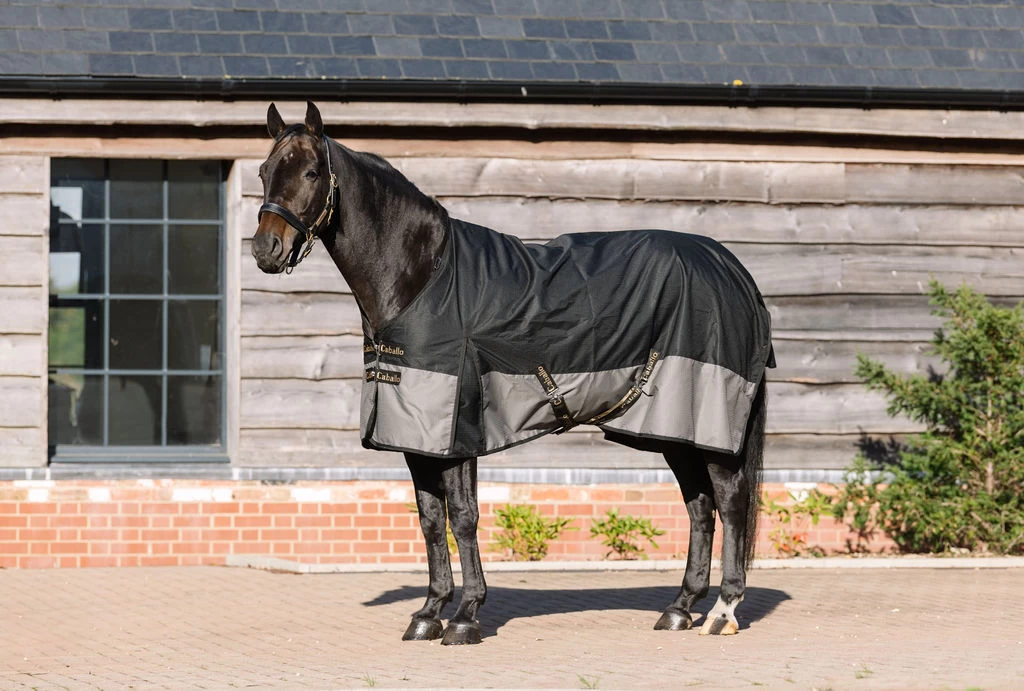 Caballo Light Turnout Rug With Neck 2 Caballo Light Turnout Rug With Neck - Image 2