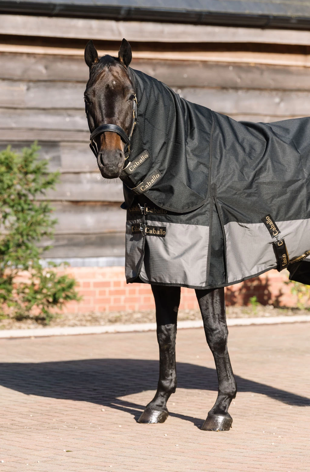 Caballo Light Turnout Rug With Neck 3 Caballo Light Turnout Rug With Neck - Image 3
