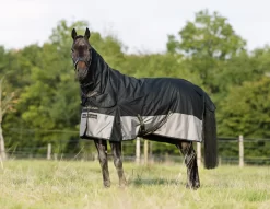 Caballo Turnout Rug Plus Liners Set