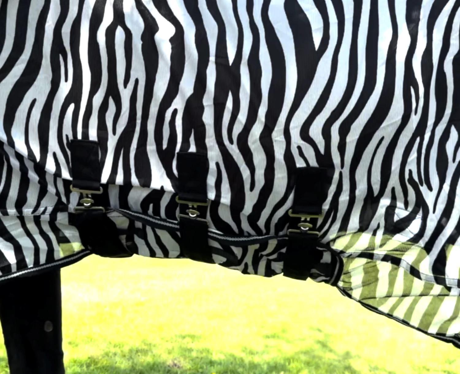 CABALLO ZEBRA FLY RUG 2 CABALLO ZEBRA FLY RUG - Image 2