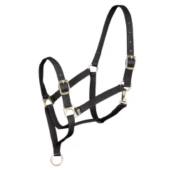 Control Headcollar