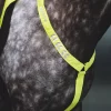 EQUI-FLECTOR Breastplate