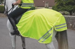 EQUI-FLECTOR Mesh Exercise Sheet