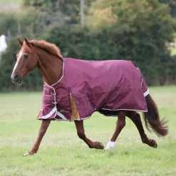 Highlander Plus 100 Turnout Rug