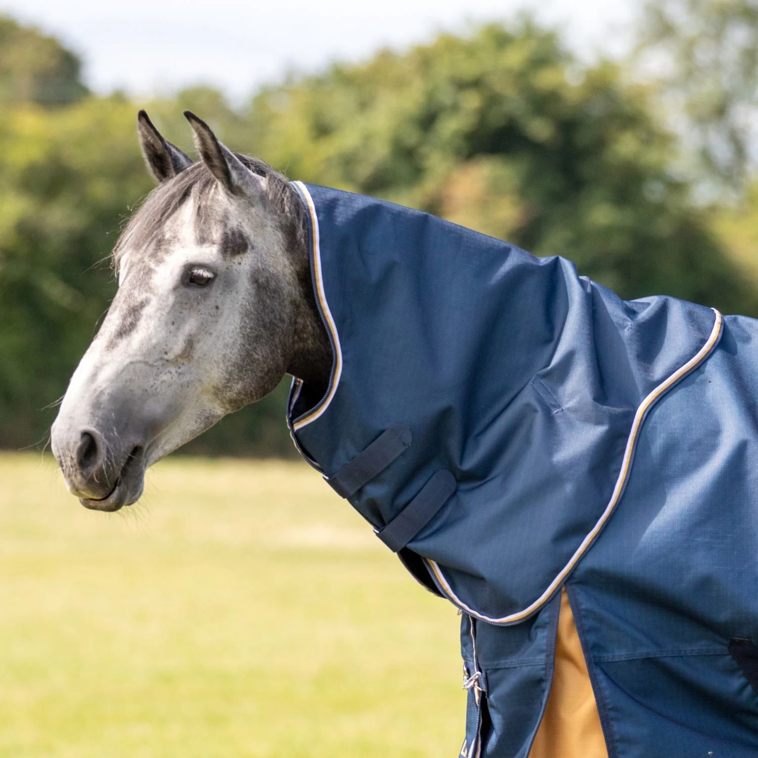 Shires Highlander Plus Lite Turnout Rug Neck Cover 1 Shires Highlander Plus Lite Turnout Rug Neck Cover