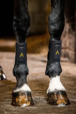 Horseware Adagio Boots