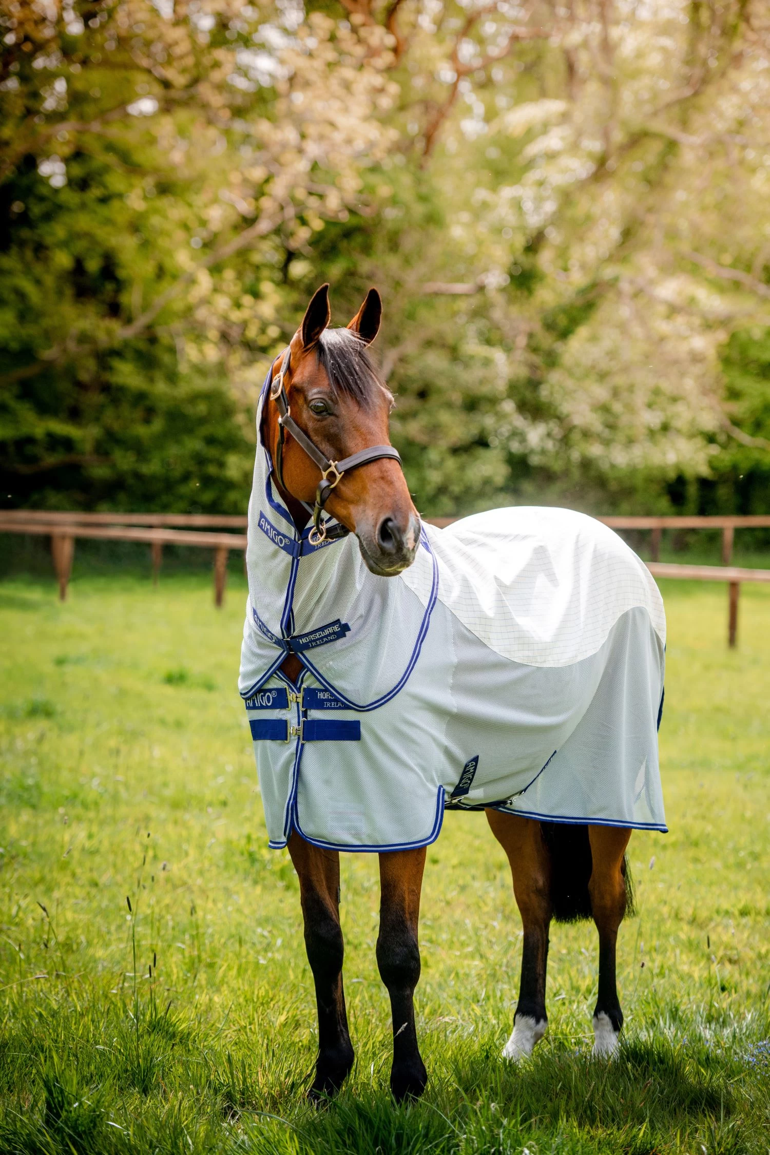 HORSEWARE AMIGO AIRFLOW RUG 1 HORSEWARE AMIGO AIRFLOW RUG