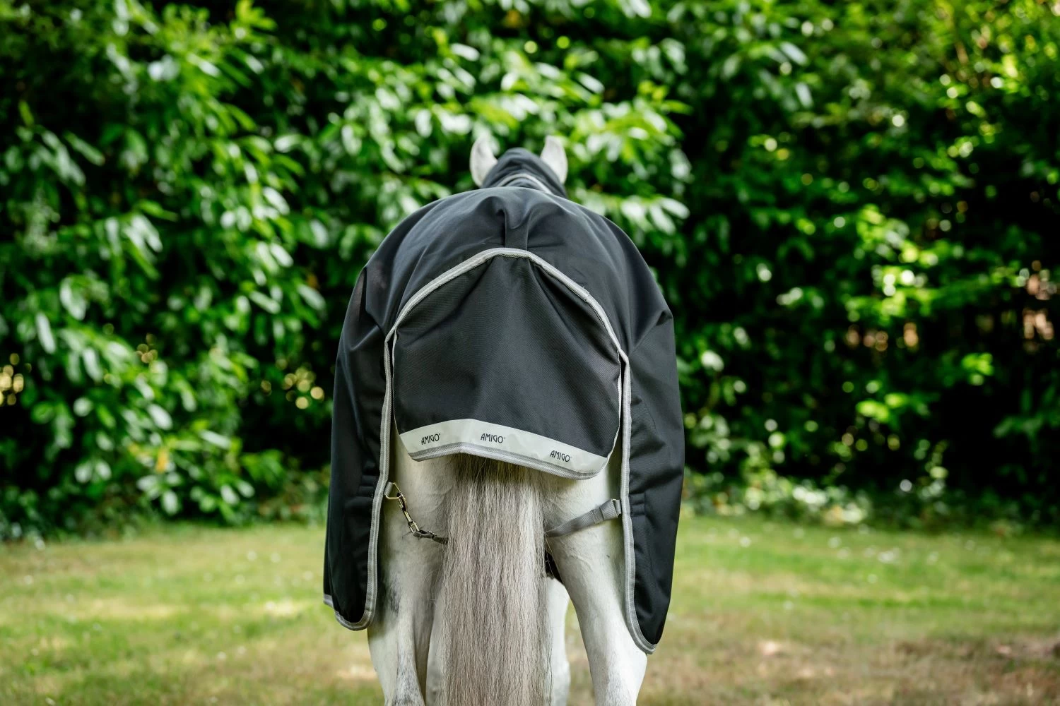 Horseware Amigo Bravo 12 Original 50g Turnout 3 Horseware Amigo Bravo 12 Original 50g Turnout - Image 3