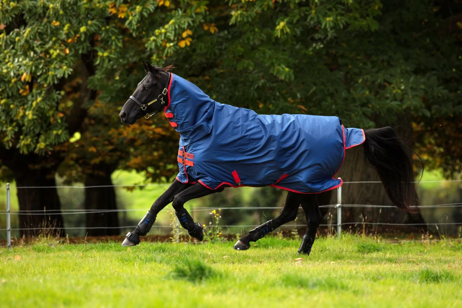 Horseware Amigo Mio Lite Allinone Turnout 1 Horseware Amigo Mio Lite Allinone Turnout