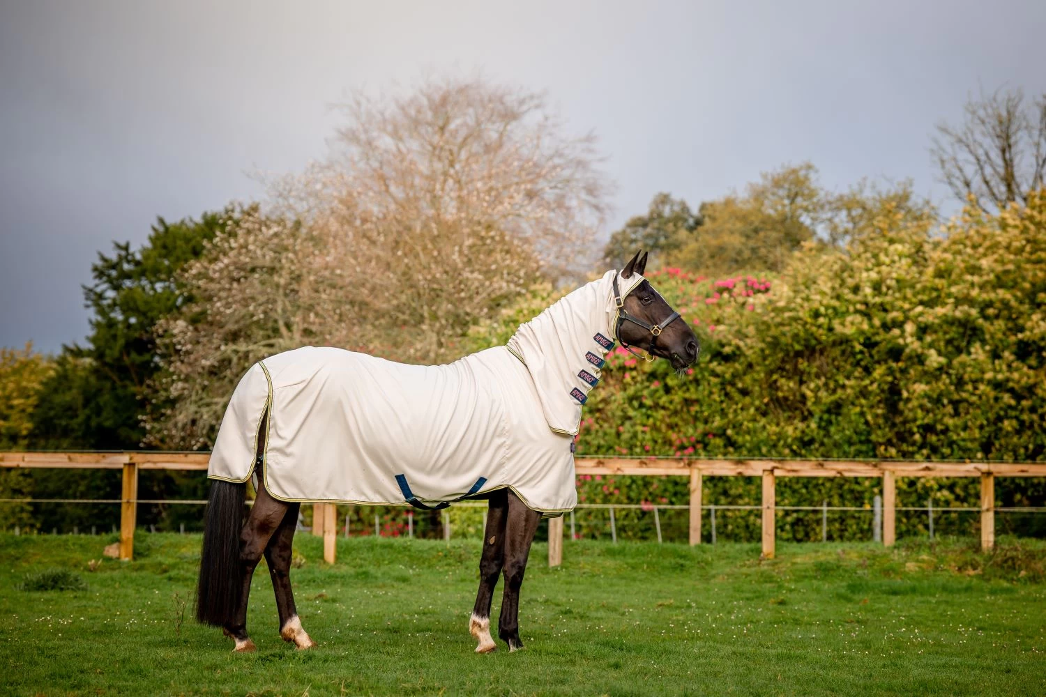 HORSEWARE AMIGO RIPSTOP HOODY 1 HORSEWARE AMIGO RIPSTOP HOODY