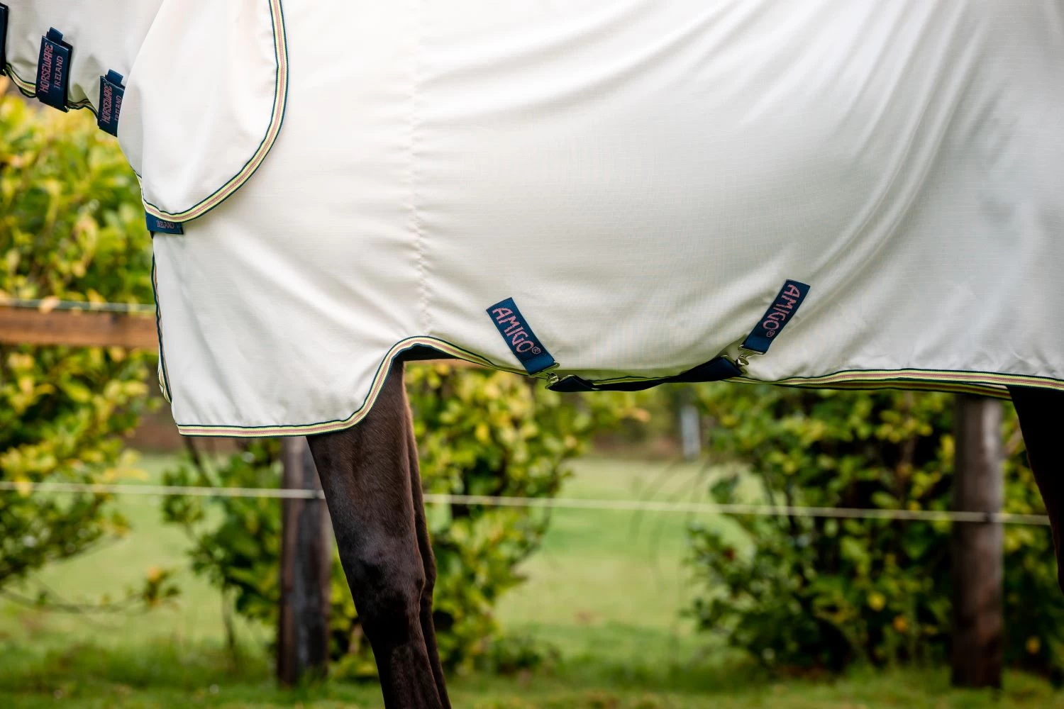 HORSEWARE AMIGO RIPSTOP HOODY 2 HORSEWARE AMIGO RIPSTOP HOODY - Image 2