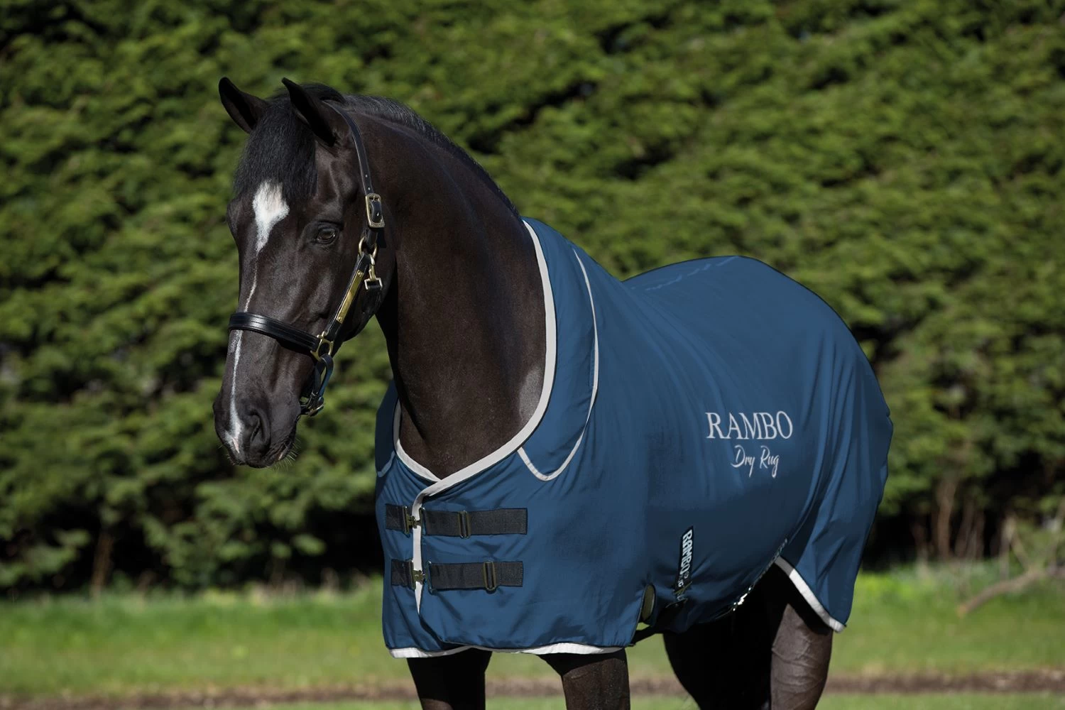 Horseware Dry Rug Supreme 1 Horseware Dry Rug Supreme