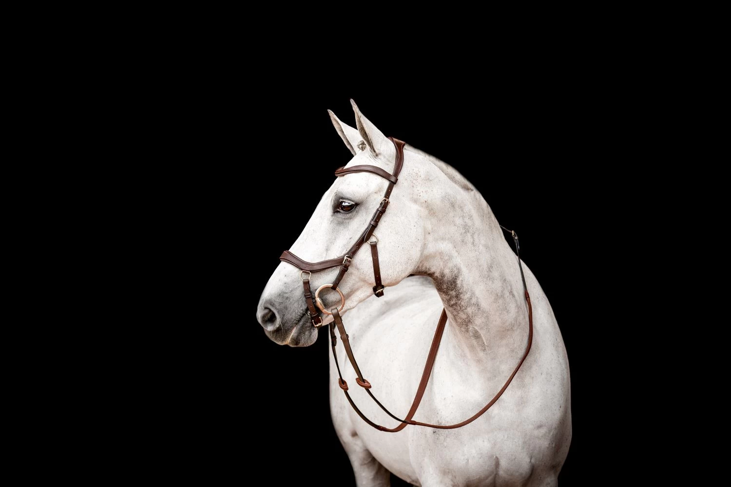 Horseware Micklem 2 Competition Bridle 2 Horseware Micklem 2 Competition Bridle - Image 2