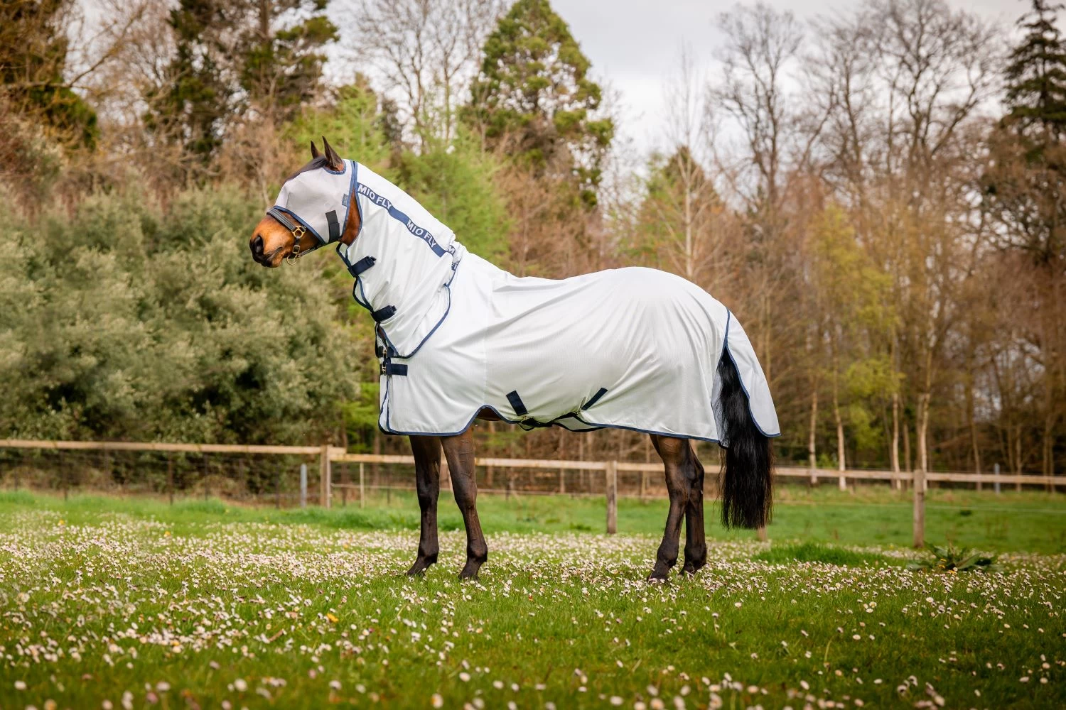 HORSEWARE MIO FLY RUG 1 HORSEWARE MIO FLY RUG
