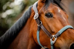 HORSEWARE SIGNATURE BRAIDED HEADCOLLAR -Equestrian Supplies Sale horseware signature braided headcollar 16697