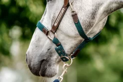 HORSEWARE SIGNATURE BRAIDED HEADCOLLAR -Equestrian Supplies Sale horseware signature braided headcollar 16698