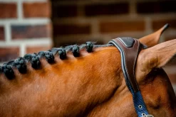 HORSEWARE SIGNATURE COMPETITION HEADCOLLAR -Equestrian Supplies Sale horseware signature competition headcollar 16705