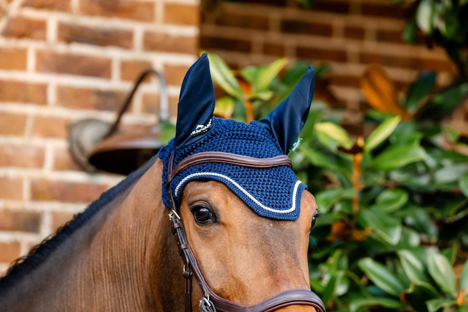 HORSEWARE SIGNATURE EAR NET 1 HORSEWARE SIGNATURE EAR NET