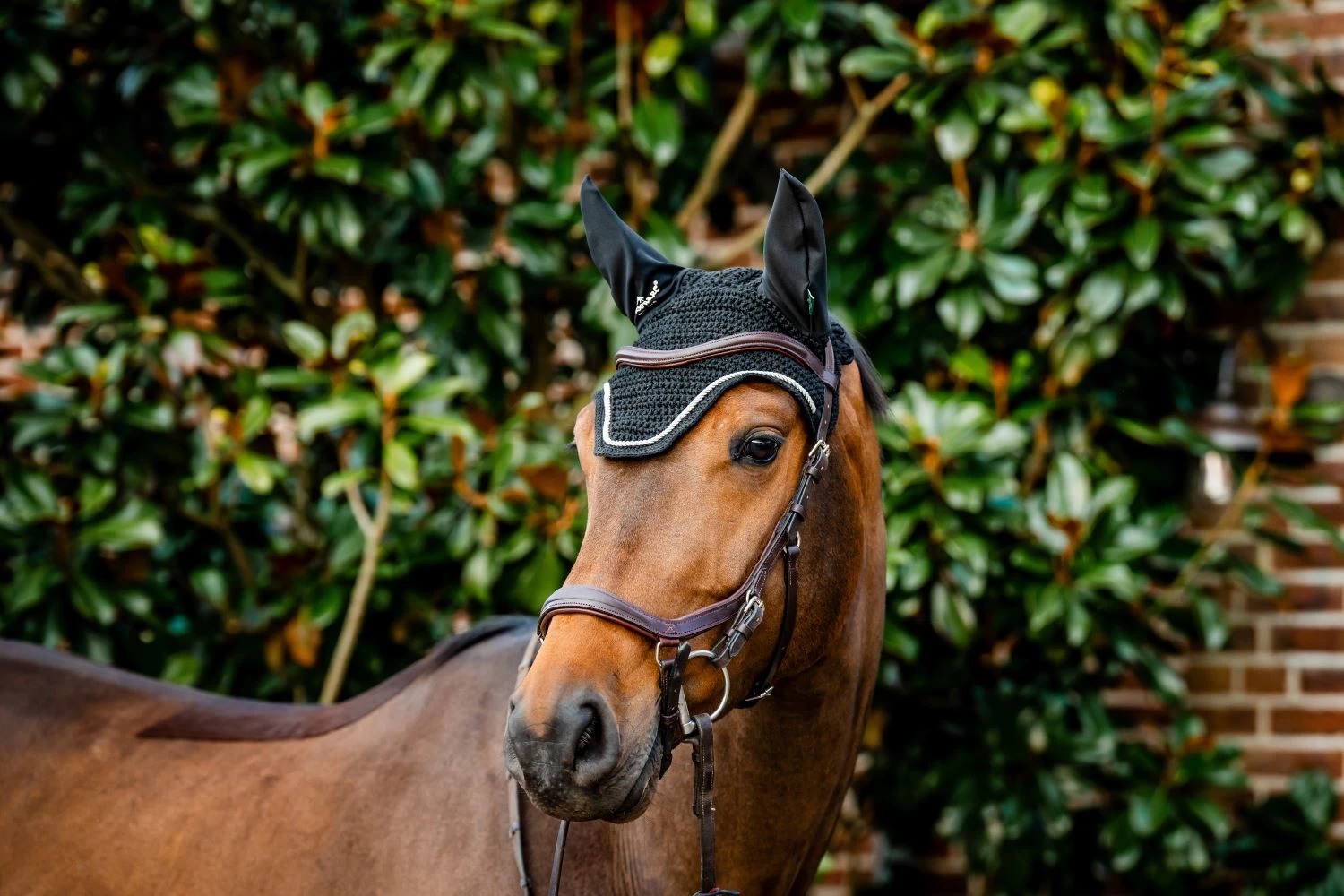 HORSEWARE SIGNATURE EAR NET 2 HORSEWARE SIGNATURE EAR NET - Image 2