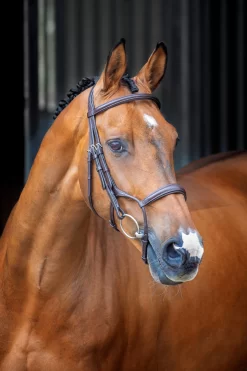Lusso Rolled Padded Cavesson Bridle