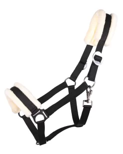 Qhp Cali Head Collar