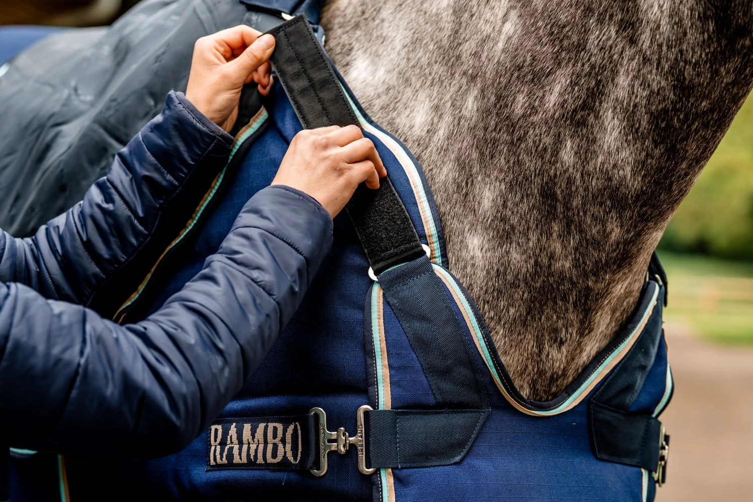 RAMBO OPTIMO STABLE PLUS HVY 400G 2 RAMBO OPTIMO STABLE PLUS HVY 400G - Image 2