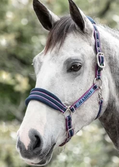 Horseware Rambo Padded Headcollar -Equestrian Supplies Sale rambo padded headcollar 14792