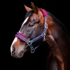 Horseware Rambo Padded Headcollar