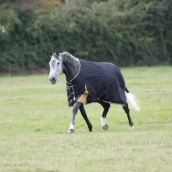 Shires Highlander Plus 200 Turnout Rug
