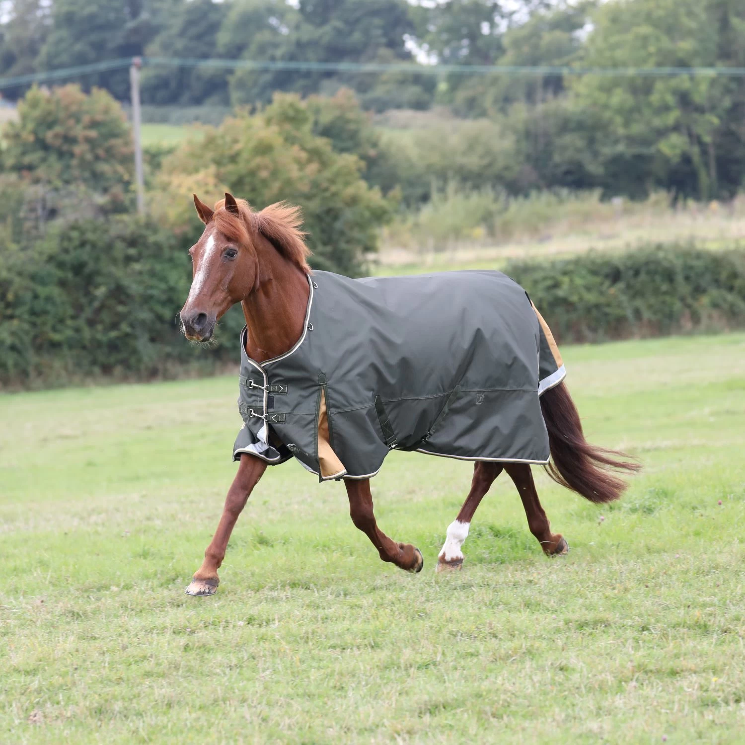 Shires Highlander Plus 50 Turnout Rug 1 Shires Highlander Plus 50 Turnout Rug