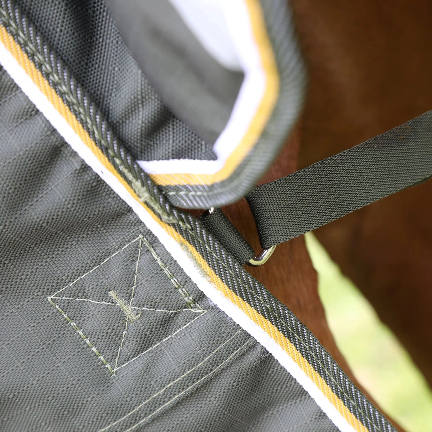 Shires Highlander Plus 50 Turnout Rug 4 Shires Highlander Plus 50 Turnout Rug - Image 4