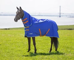Shires Tempest 50g Combo Turnout Rug