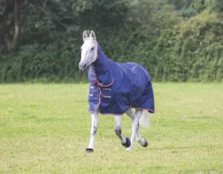 Shires Typhoon 100g Combo Turnout Rug