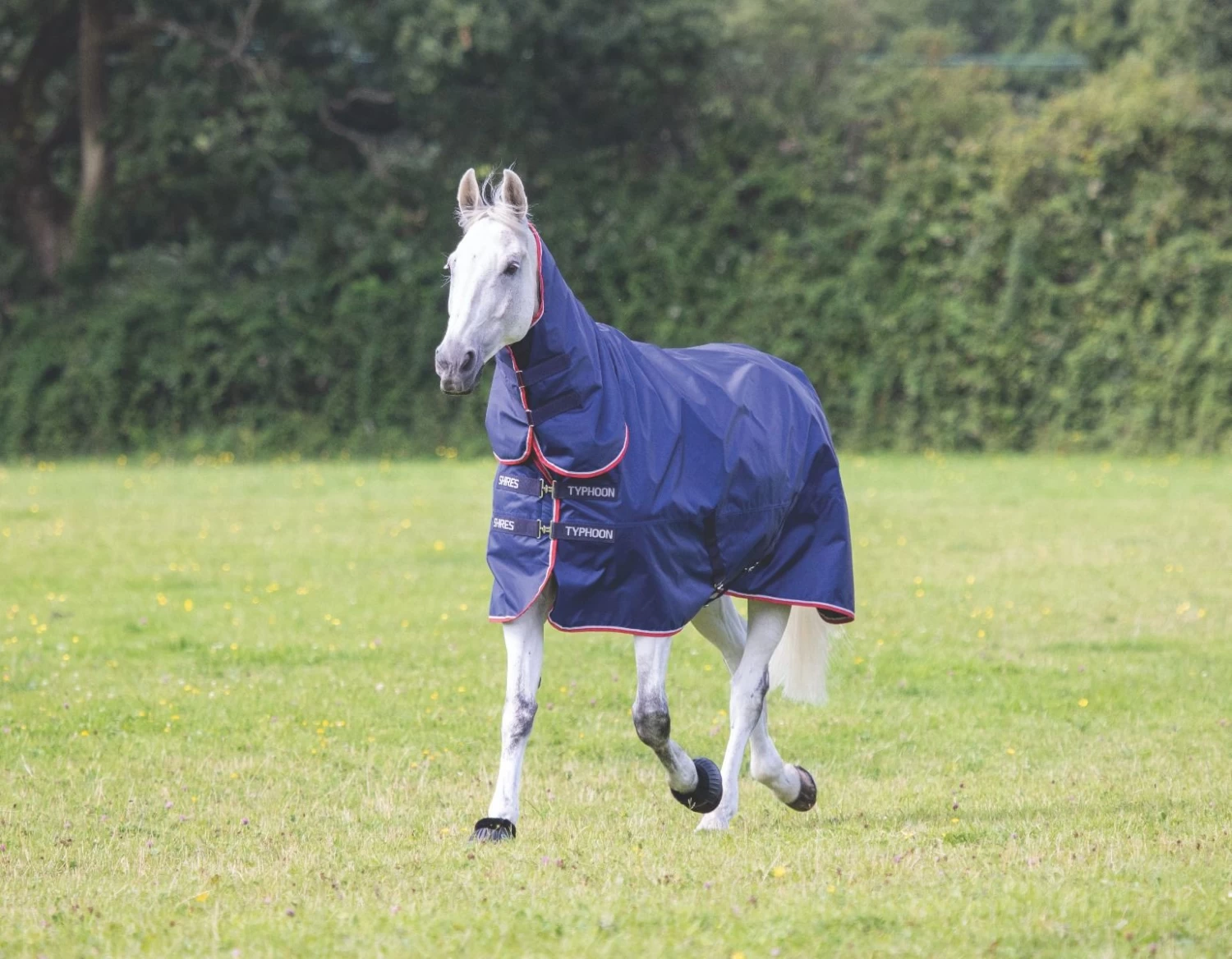 Shires Typhoon 100g Combo Turnout Rug 1 Shires Typhoon 100g Combo Turnout Rug