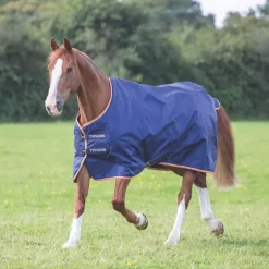 Shires Typhoon 100g Turnout Rug