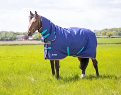Tempest Original 100 Combo Turnout Rug