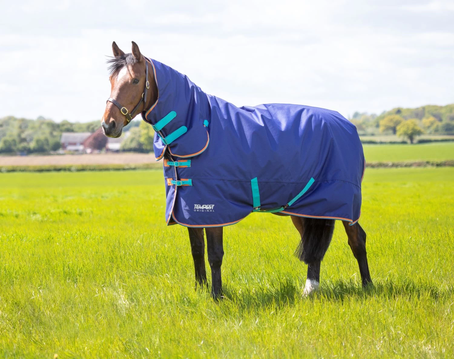 Tempest Original 100 Combo Turnout Rug 1 Tempest Original 100 Combo Turnout Rug