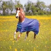 Tempest Original 100 Turnout Rug