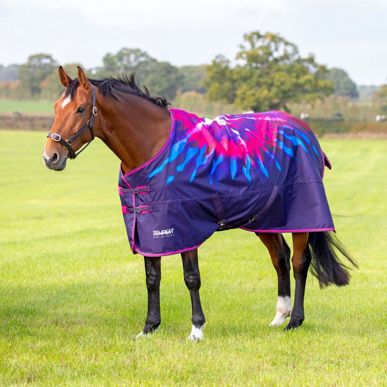 Tempest Original 100 Turnout Rug 2 Tempest Original 100 Turnout Rug - Image 2
