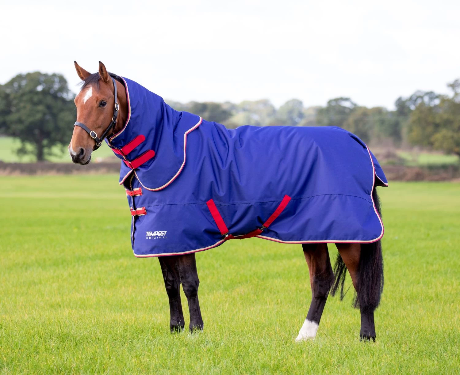 Tempest Original 100 Turnout Rug & Neck Set 1 Tempest Original 100 Turnout Rug & Neck Set