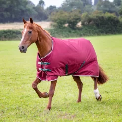 Tempest Original 200 Turnout Rug