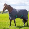 Tempest Original 300 Turnout Rug