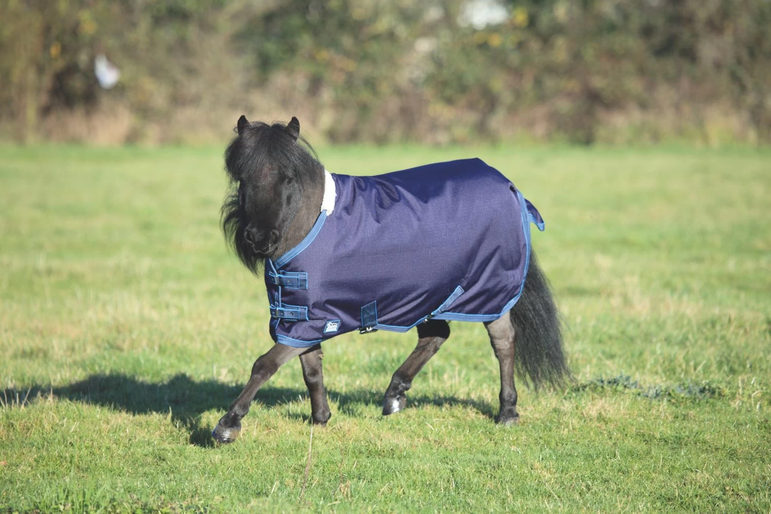 Tempest Original Lite Mini Turnout Rug 1 Tempest Original Lite Mini Turnout Rug
