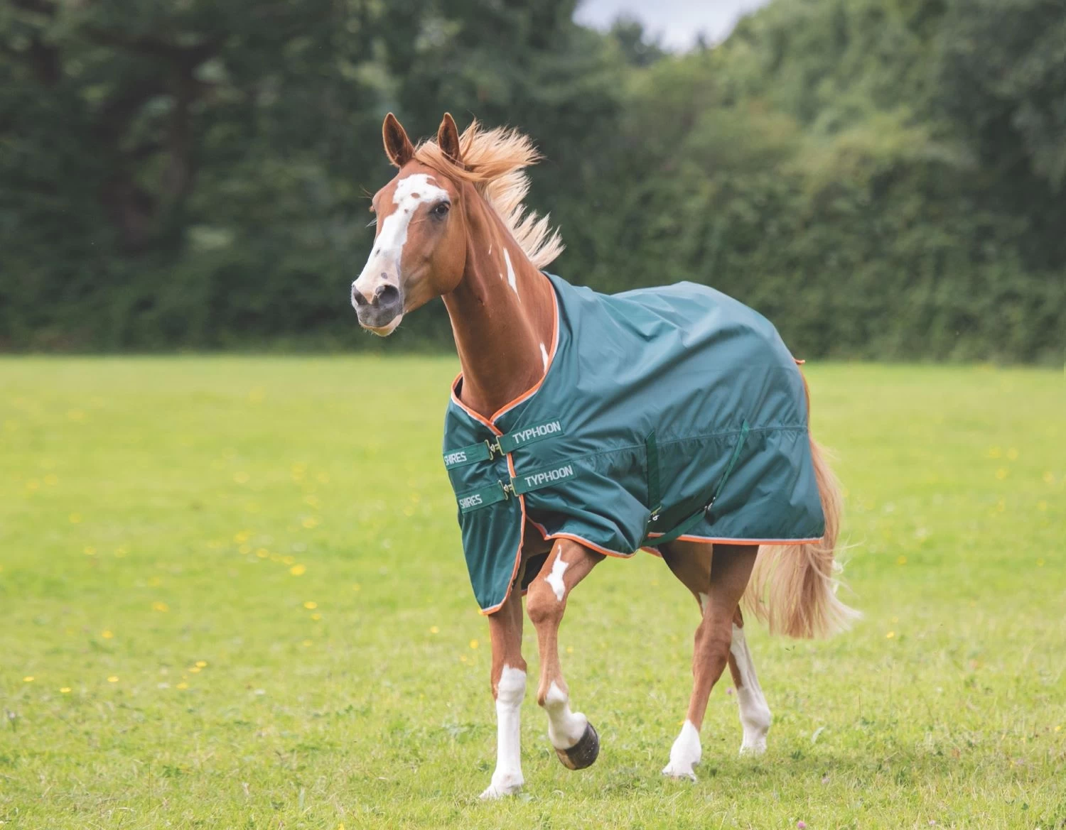 Typhoon Lite Turnout Rug 1 Typhoon Lite Turnout Rug