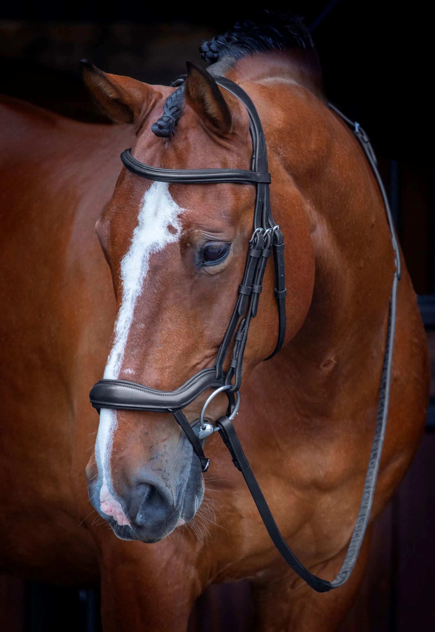 Velociti RAPIDA Ergonomic Flash Bridle 1 Velociti RAPIDA Ergonomic Flash Bridle